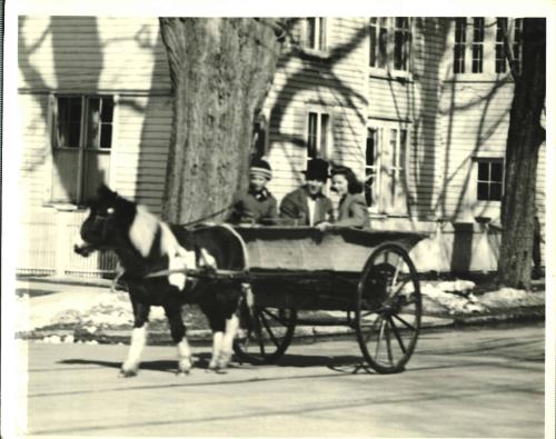 Pony & Wagon on Lake Street, Cooperstown