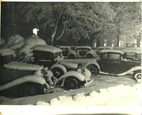 Automobiles Covered in Snow